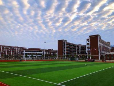 阜阳阜南管教问题学生学校辅导_，未来将走向何方？
